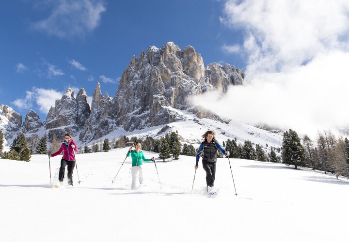 Gruppe von Schneeschuhwanderern